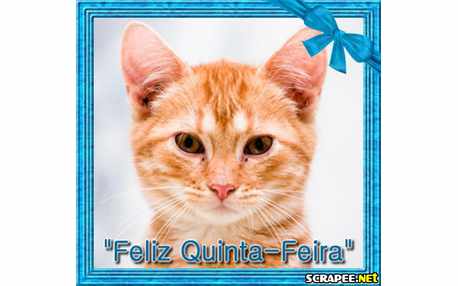 Moldura - Mensagem De Quinta Feira