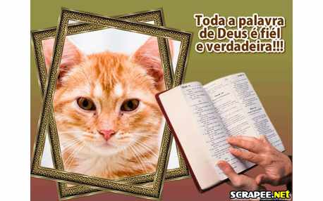 Moldura - Biblia Sagrada