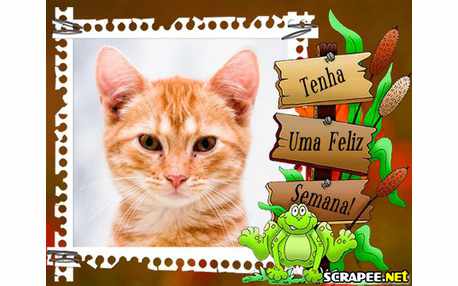 Moldura - Casa Do Sapo