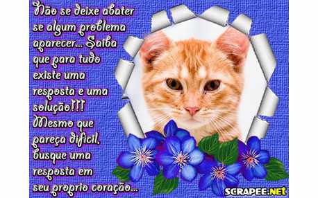 Moldura - Nao Existe Problema