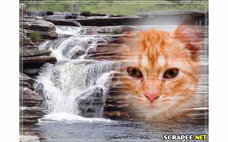 Moldura - Quedas Dagua