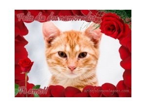 Moldura - Moldura De Rosas Vermelhas