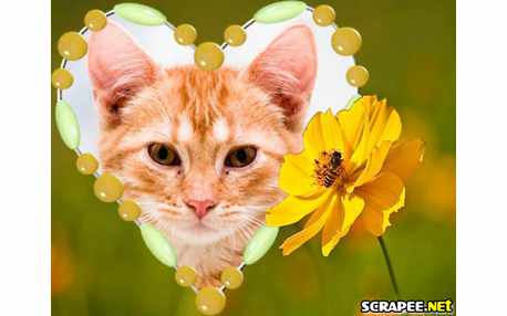 Moldura - Coracao De Pedra