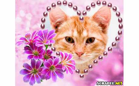 Moldura - Flor Lilas