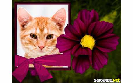 Moldura - Dalia Cor De Vinho