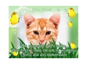 Moldura - Dia Das Namorados