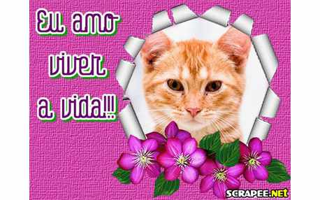 Moldura - Viver A Vida