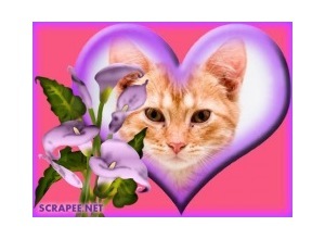 Moldura - Coracao E Flor Copo De Leite