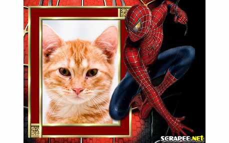 Moldura - Homem Aranha 3