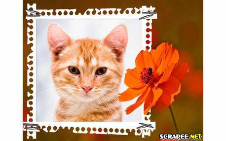 Moldura - Folha De Caderno