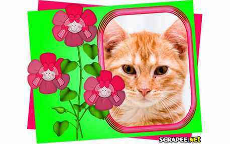 Moldura - Plantas Vivas