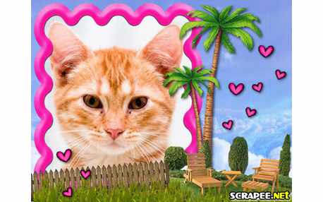 Moldura - Area De Laser