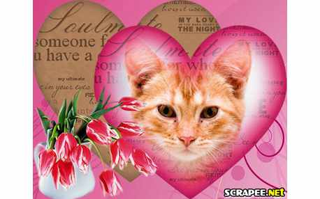 Moldura - Tulipas Cor De Rosa