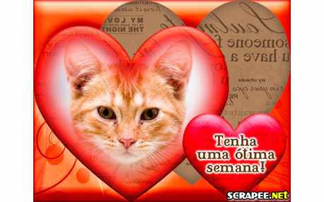 Moldura - Semana Otima