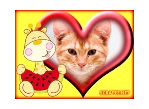 Moldura - Coracao E Melancia