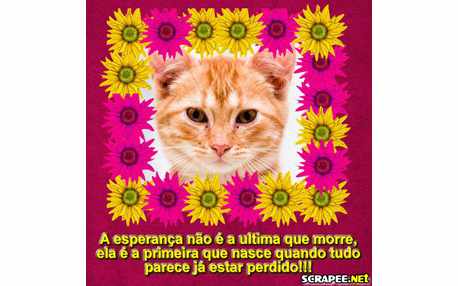 Moldura - A Esperanca