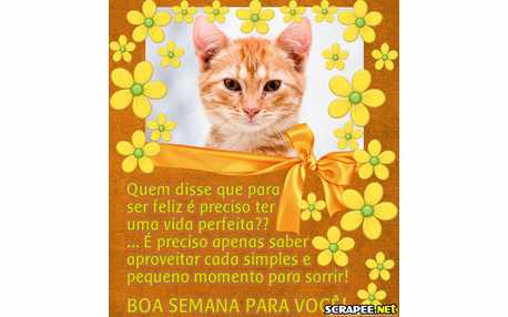 Moldura - Receita Da Felicidade