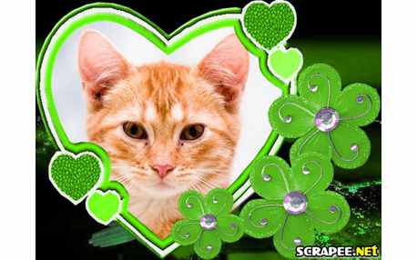 Moldura - Coracao Florido