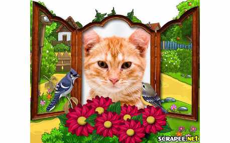 Moldura - Janela Florida