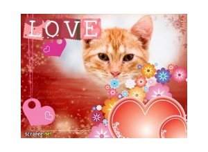 Moldura - I Love You Meu Amor