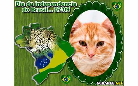 Moldura - Mapa Do Brasil