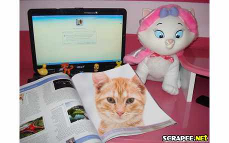 Moldura - Gatinha Marie