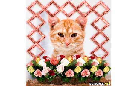 Moldura - Flor Na Beira Da Janela