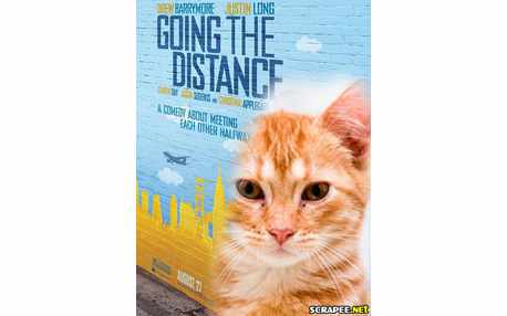 Moldura - Montagem Do Filme Amor A Distancia