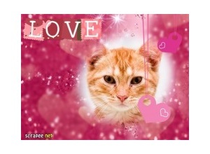 Moldura - I Love You