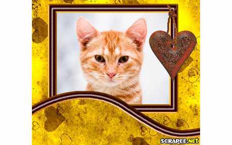 Moldura - Coisas Simples