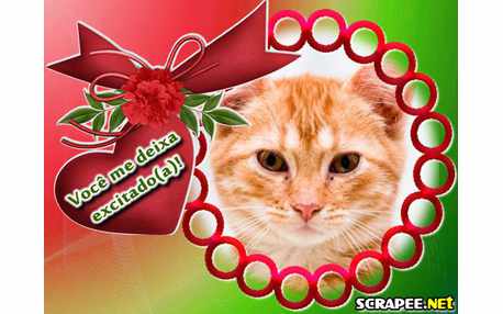 Moldura - Frase Excitante