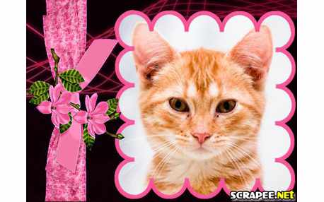 Moldura - Beleza Natural