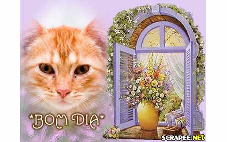 Moldura - Dia Irradiante