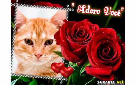 Moldura - Coisas Que Adoro