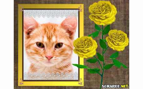 Moldura - Rosas Amarelas