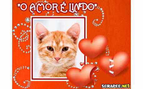 Moldura - O Amor E Lindo