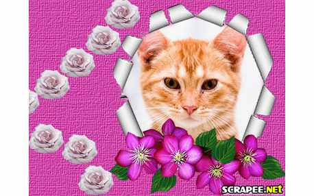 Moldura - Flores Lilas