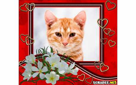 Moldura - Simbolo Da Paz