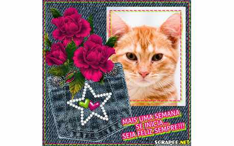 Moldura - Bolso Traseiro