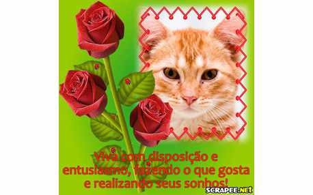 Moldura - Realize Seus Sonhos