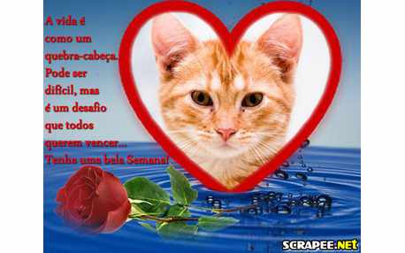 Moldura - Imensidao Das Aguas