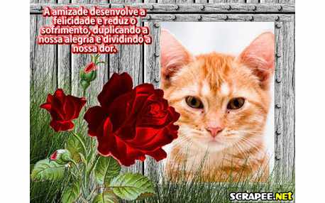 Moldura - Reducao De Sofrimento