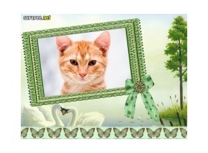 Moldura - Lindo Cartao Verde