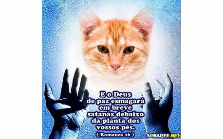 Moldura - 16 De Romanos