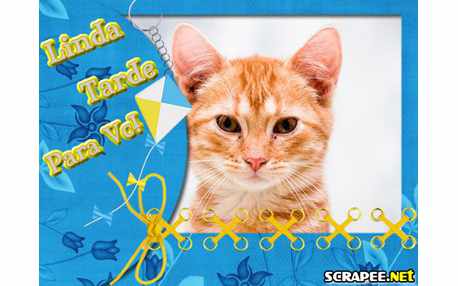 Moldura - Moldura Com Marril