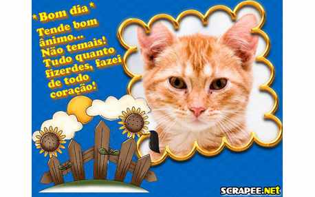 Moldura - Dia Maravilhoso