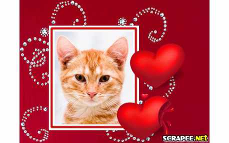 Moldura - Montagem Divertida