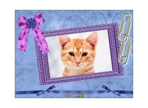 Moldura - Lindo Cartao Roxo