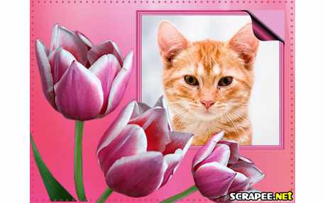 Moldura - Tulipa Rosa Com Branco