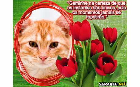 Moldura - Cada Sao Unicos